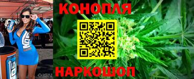 крисы Донской